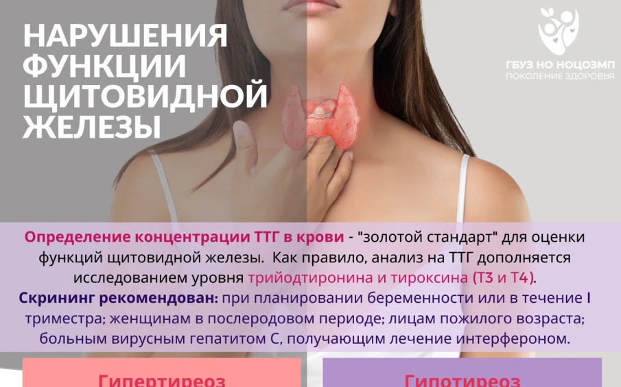 Щитовидная железа – регулятор здоровья и гармонии организма